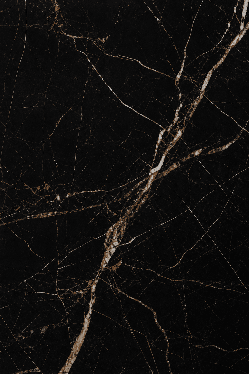 Noir Saint Laurent marble slab
