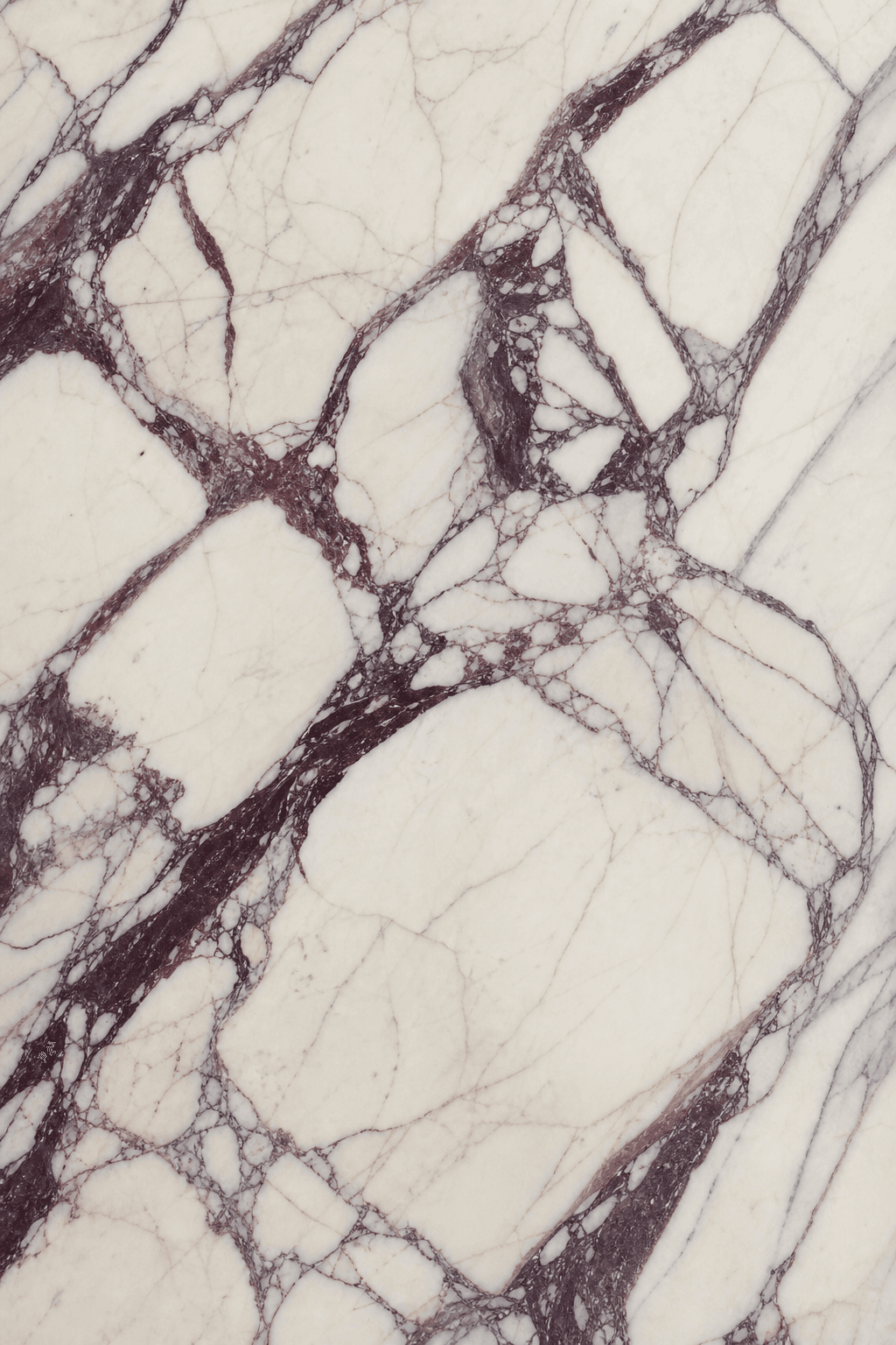 Arabescato Viola marble slab