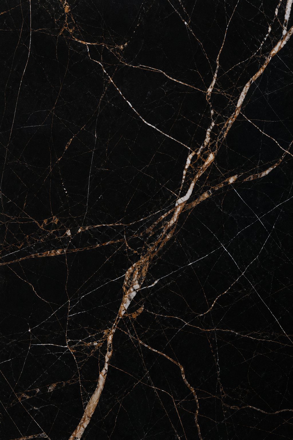 Noir Saint Laurent stone slab